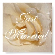 rose, Just Married, Photo by: TEYoung posters