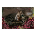 Rose Kitty posters