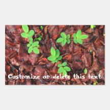 Rose Leaves; Customizable Rectangle Stickers