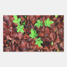 Rose Leaves; No Text Sticker
