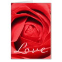 Rose Love Card by segermonster Rose Love Card