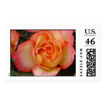 Rose, Love Stamp by LL11funway Rose, Love Stamp