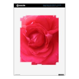 Rose Macro iPad 3 Decals