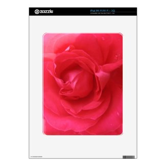 Rose Macro iPad Skin