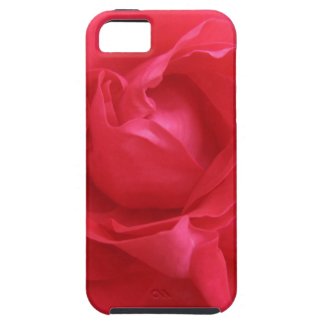 Rose Macro iPhone 5 Covers