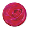 Rose Magnet