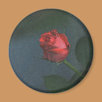 Rose magnets