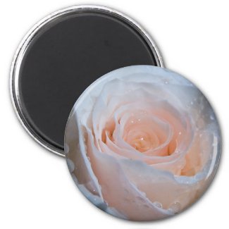 Rose Magnet 1 magnet