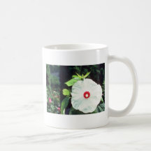 Rose Mallow (Hibiscus Moscheutos) flowers Mug