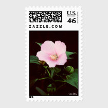 Rose Mallow Postage stamps
