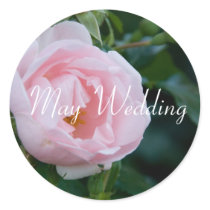 Rose :: May Wedding Sticker by HortusFloridus Rose :: May Wedding Sticker