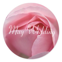 Rose :: May Wedding Sticker by HortusFloridus Rose :: May Wedding Sticker