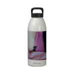 Rose Me Collection 3/36 Water Bottles