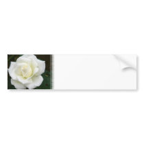 Rose Meanings Bumper Sticker