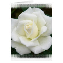 Rose Meanings Greeting Card