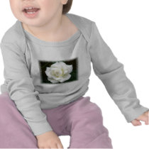 Rose Meanings Infant Creeper