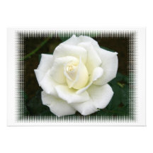 Rose Meanings Invitation