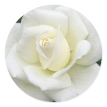 Rose Meanings Sticker stickers