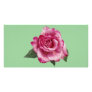 Rose Miniature Gift Photo Greeting Card