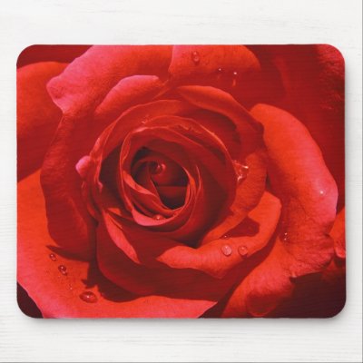 Rose Mousepad by Lpinsker