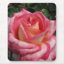Rose mousepads