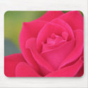 rose mousepads by iiiyaaa rose mousepads