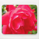 rose mousepads