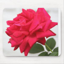 Rose mousepads by _Prki_ Rose mousepads
