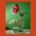 rose, mums, white, pink, flowers, daisies, daisy,