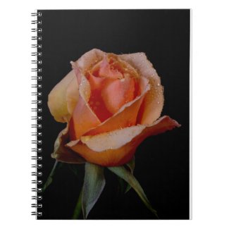 Rose Notebook 10 fuji_notebook