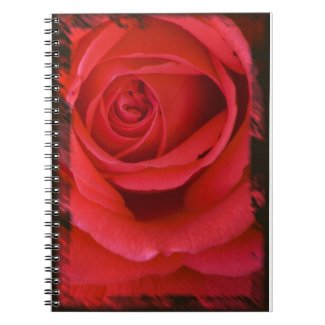 Rose Notebook 5 notebook