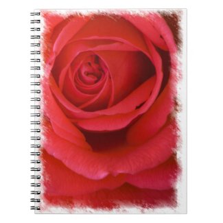 Rose Notebook 6 notebook