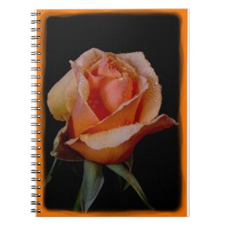 Rose Notebook 7 fuji_notebook