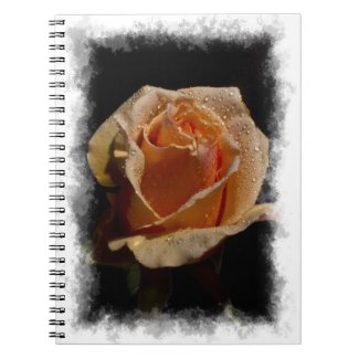 Rose Notebook 8 fuji_notebook