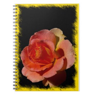 Rose Notebook 9 fuji_notebook