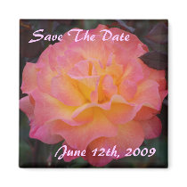 Rose of Beauty Save The Date Magnet
