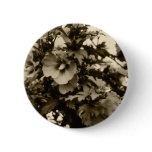 Rose of Sharon Button