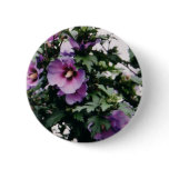 Rose of Sharon Buttons