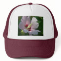 Rose of Sharon Hat by greatphotos Rose of Sharon Hat
