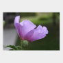 Rose of Sharon Poster posters by Deloulark Rose of Sharon Poster posters