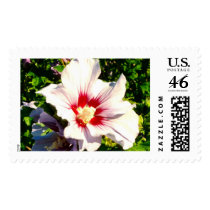 Rose of Sharon stamp by PixieDust11 Rose of Sharon stamp