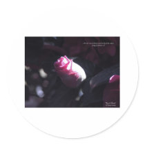 "Rose of Sharon" stickers