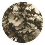 Rose of Sharon Stickers