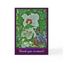 Rose of Sharon Thank You card