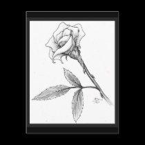 Rose of sorrows postcards