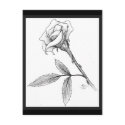 Rose of sorrows postcards