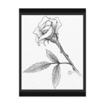 Rose of sorrows postcards