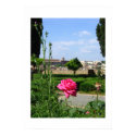 Rose on a Hilltop posters by Lsketch42 Rose on a Hilltop posters