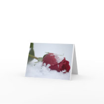 rose on ice cards by cherylc1 rose on ice cards