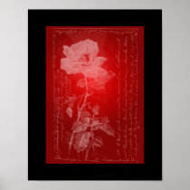 Rose on Red Poster